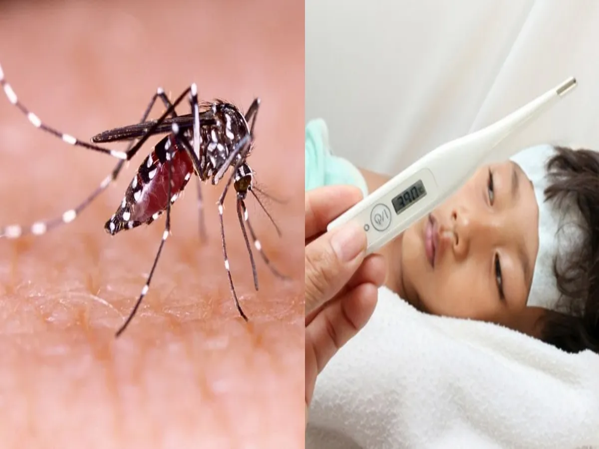 Which Is More Dangerous