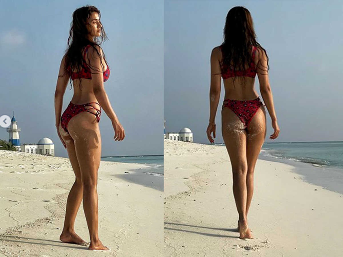 Disha Patani stuns in bold new photos as fans and celebs react