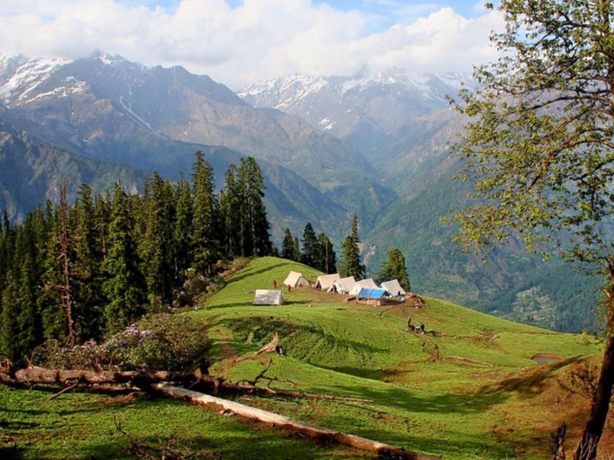 Great Himalayan National Park, Himachal Pradesh