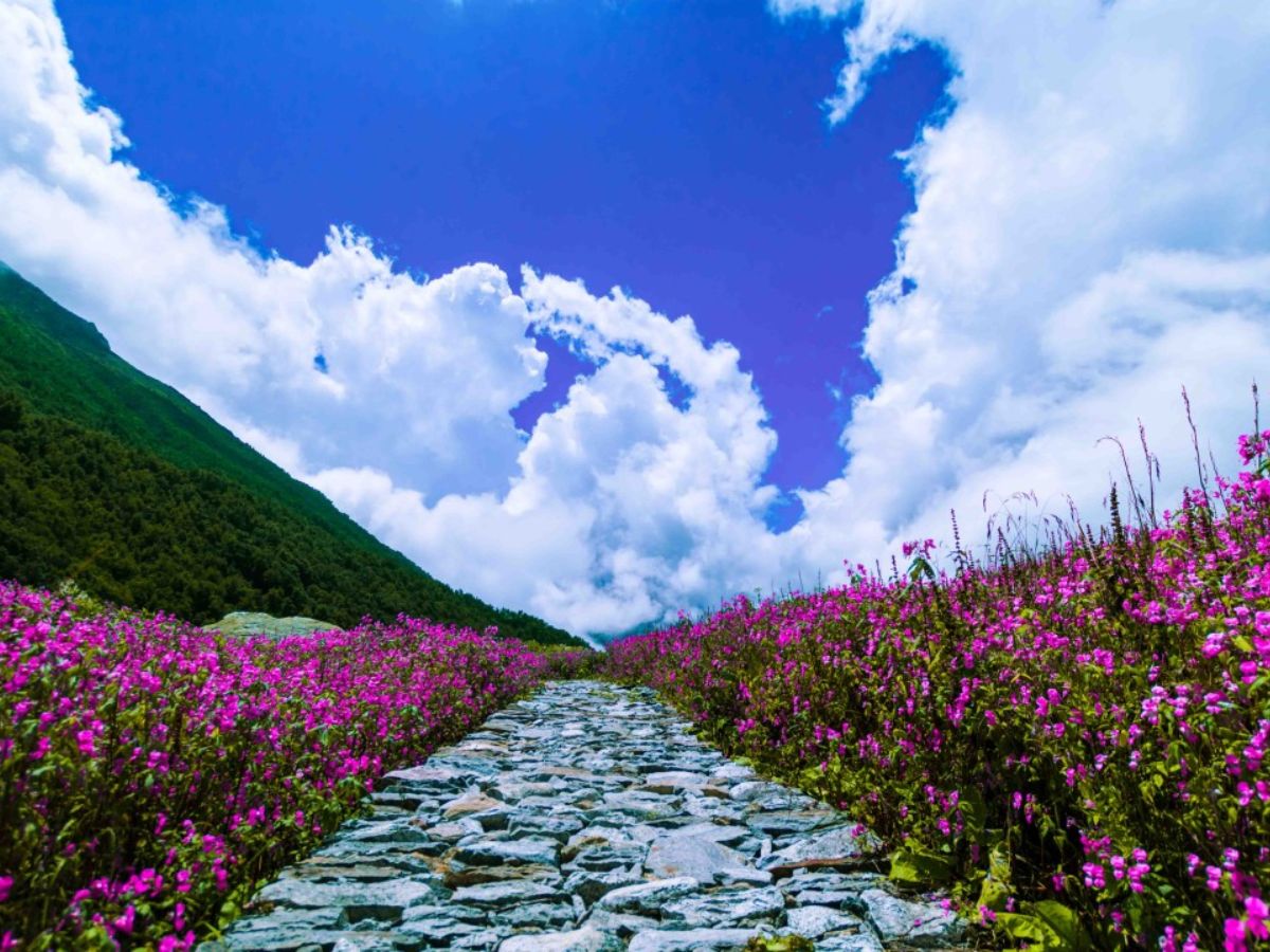 Valley Of Flowers National Park, Uttarakhand