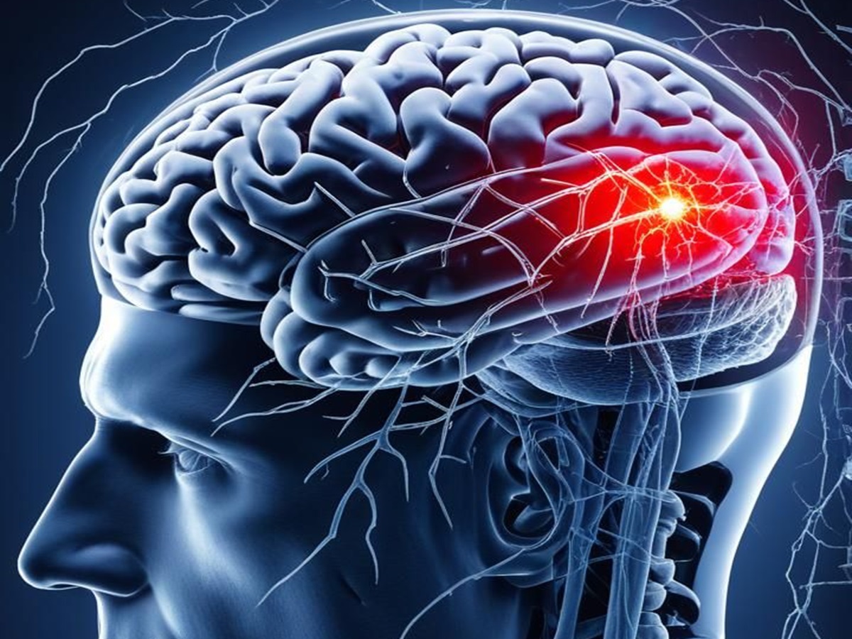 Improves Brain Functioning