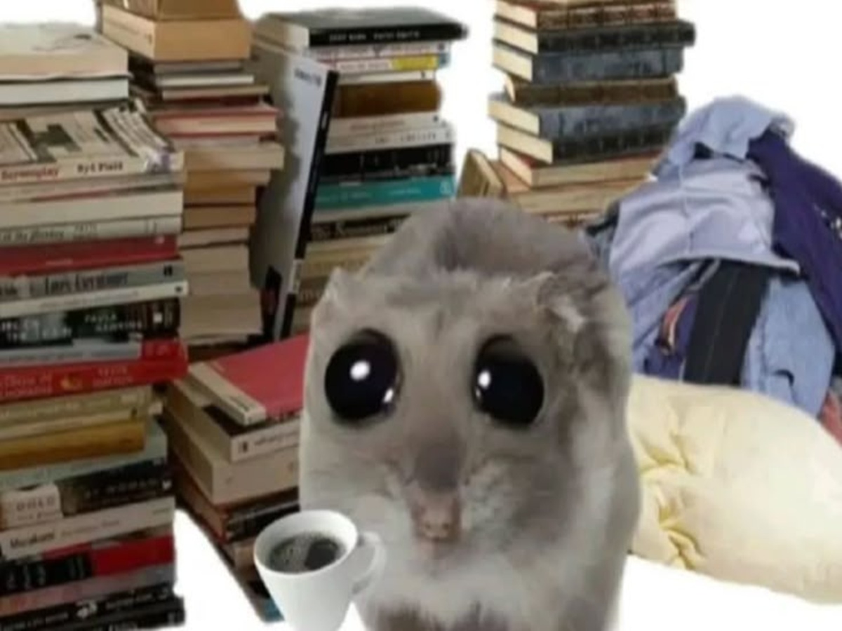 Exam Date Rescheduled