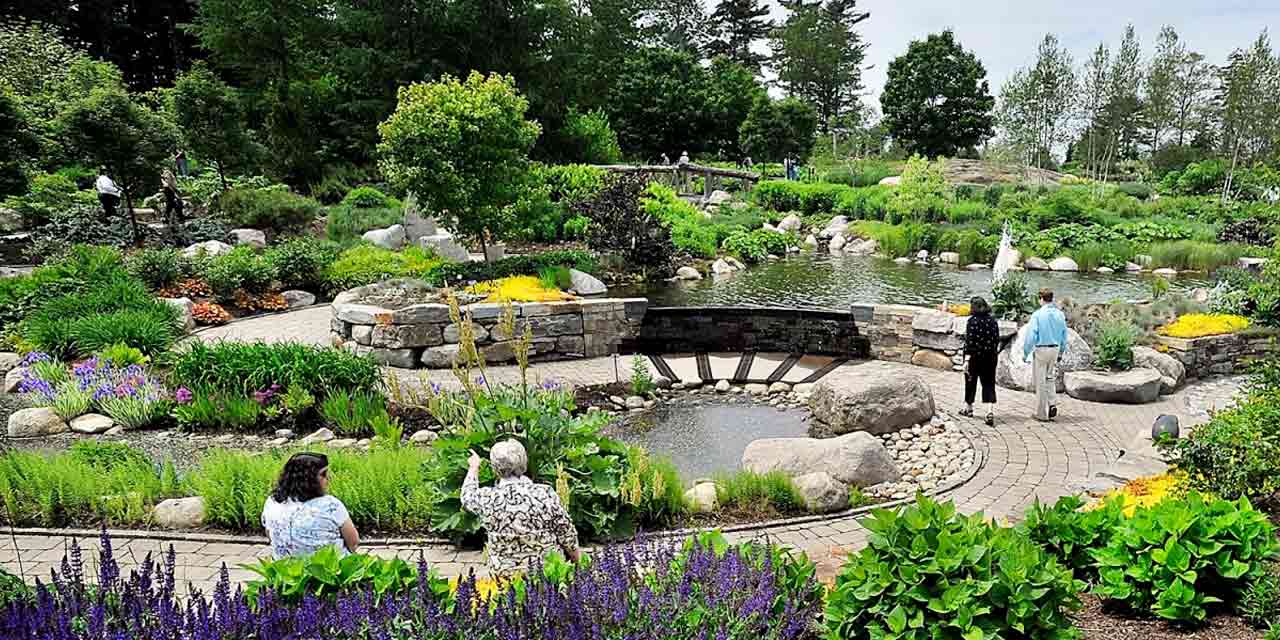 Colorful flowers and sculptures at Garden of Five Senses in Delhi