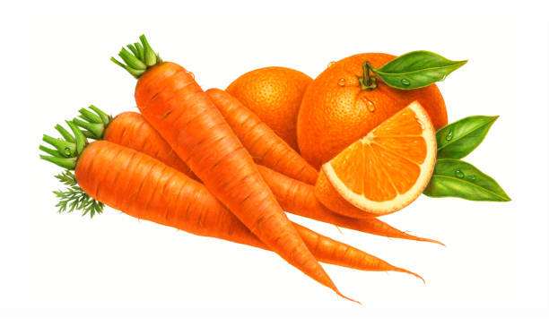 Sliced orange and raw carrots on a white plate.