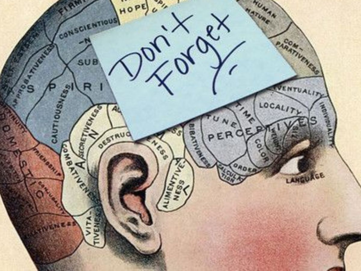 Boosts Brain Function and Memory