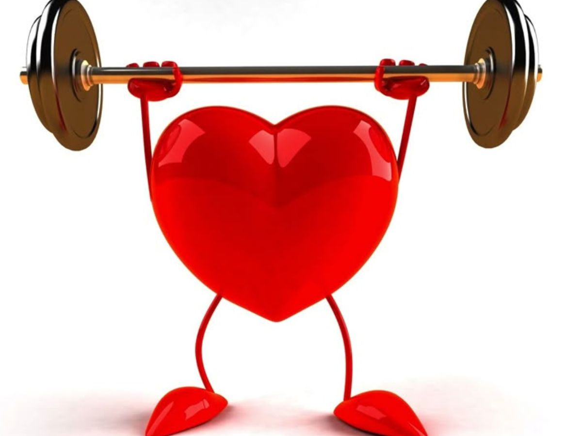 Supports Heart Health