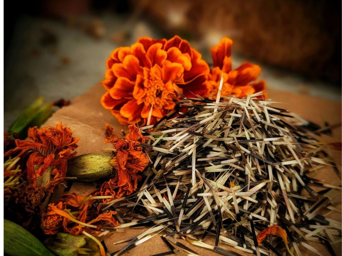 Symbolic and cultural significance