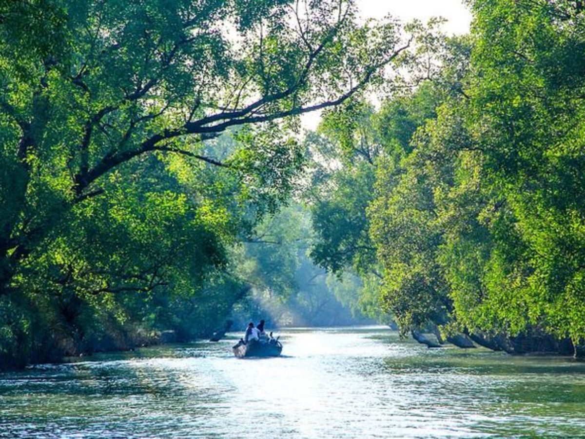 Sundarbans, West Bengal