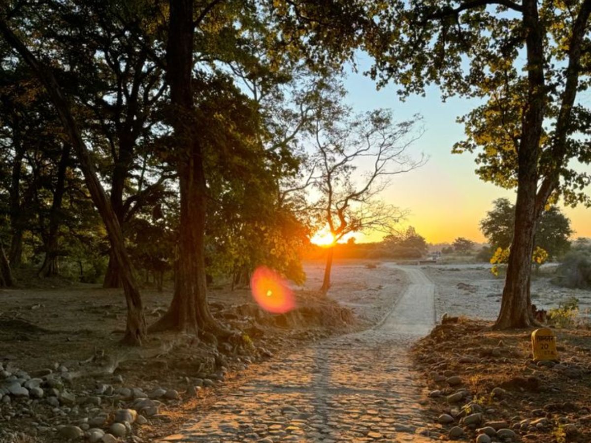 Jim Corbett National Park, Uttarakhand