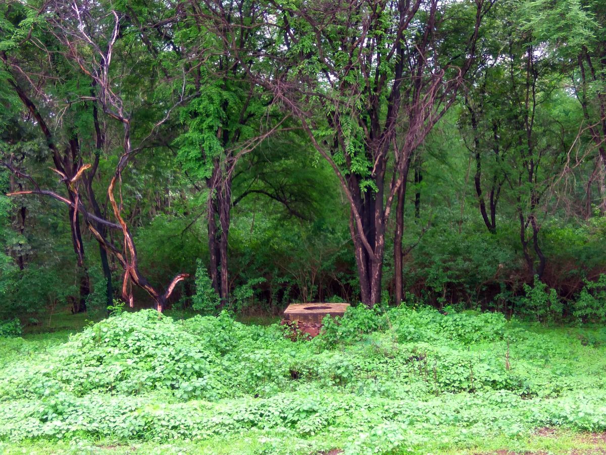 Abujmarh, Chattisgarh