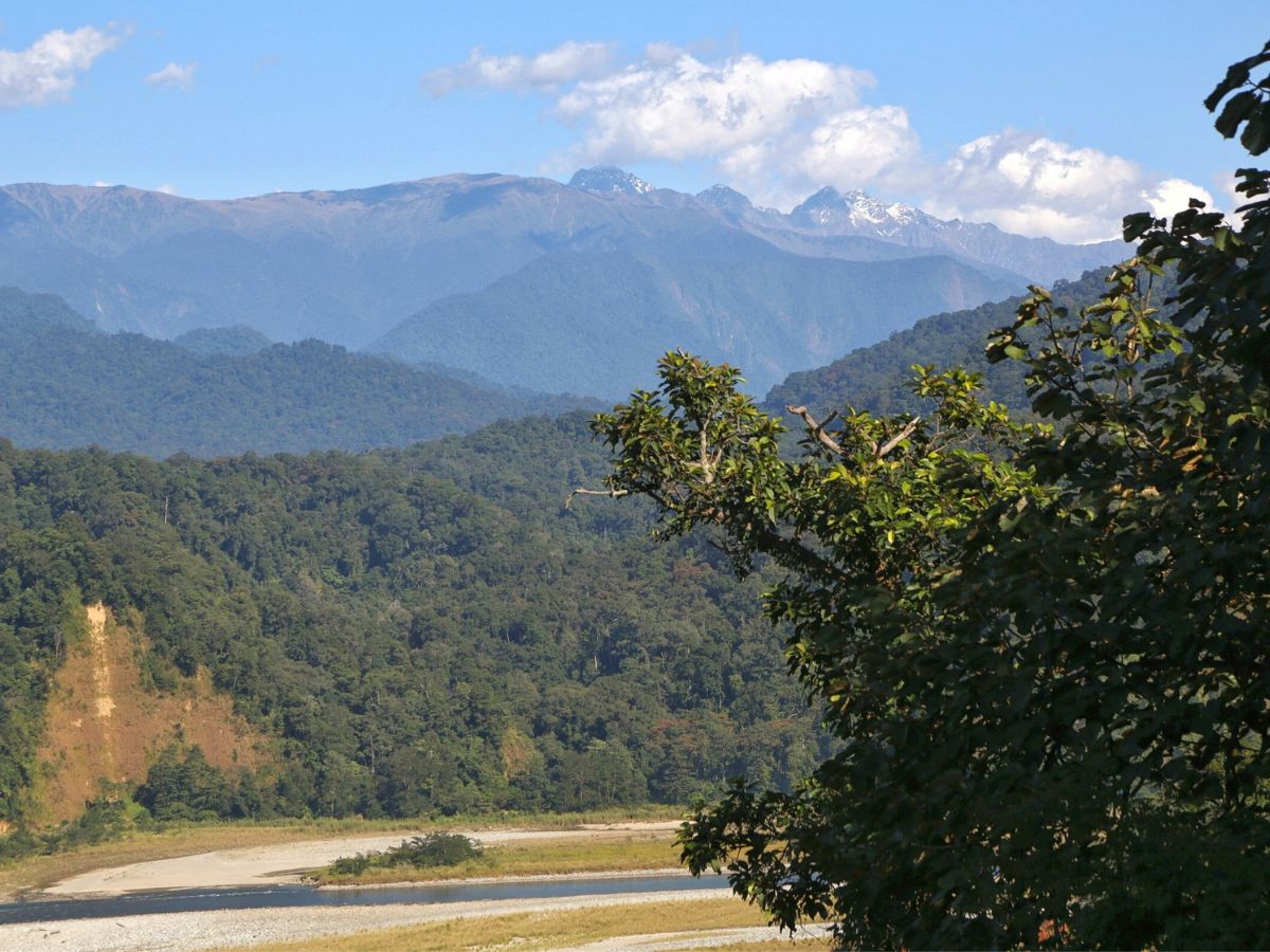 Namdapha National Park, Arunachal Pradesh