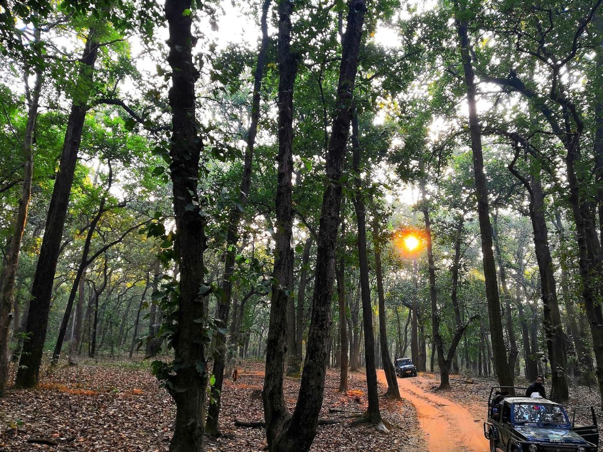 Kanha National Park