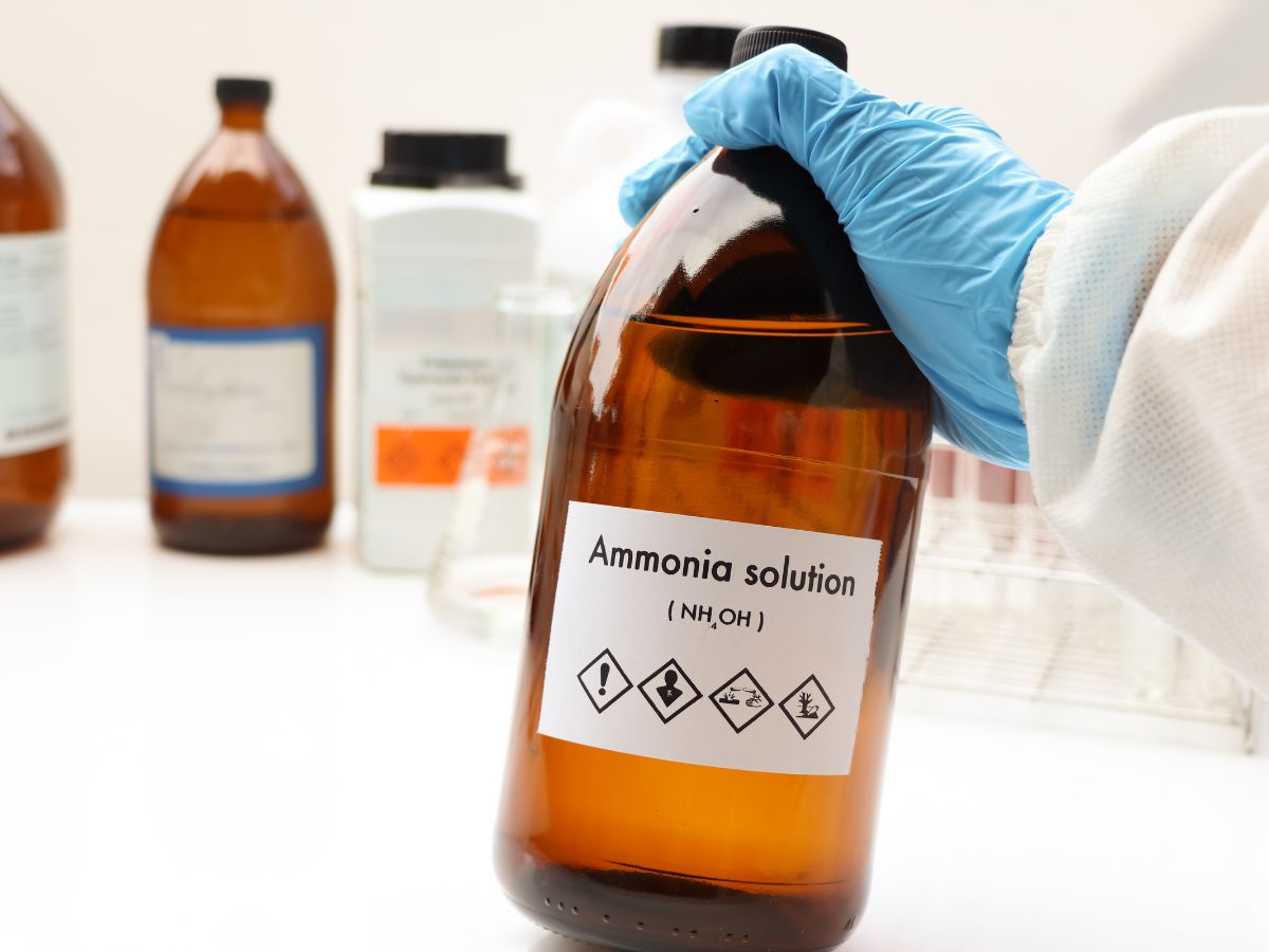 Natural and Chemical-Free Solutions