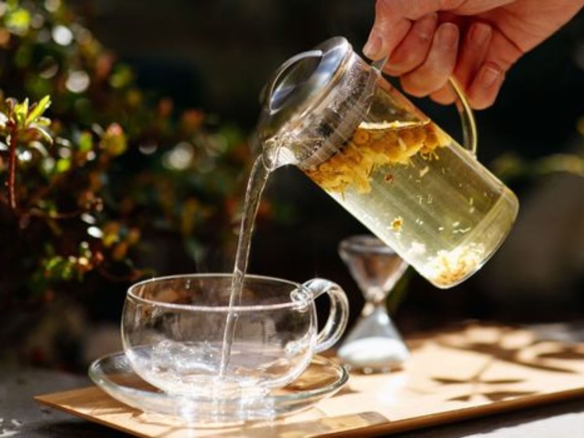 Chamomile- The Egyptian Elixir