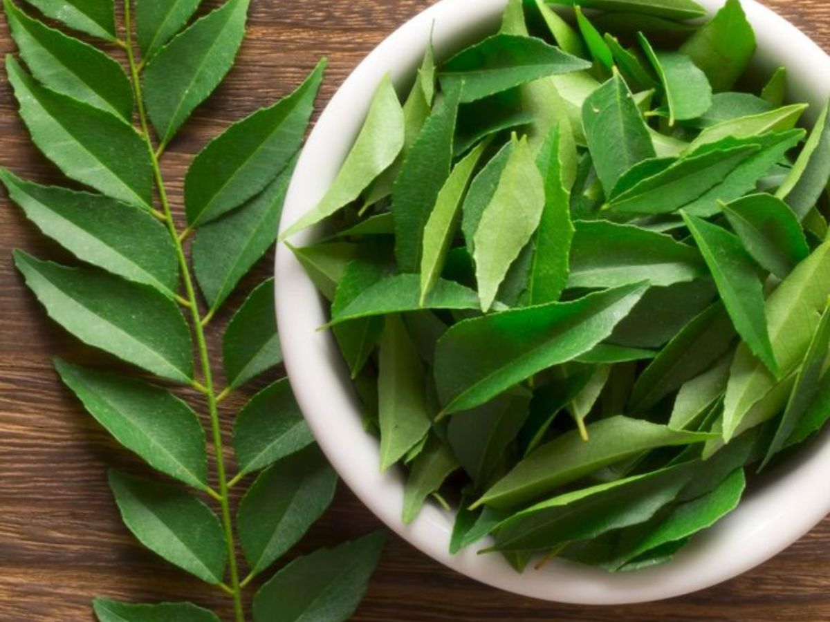 Curry Leaves (Kadi Patta)