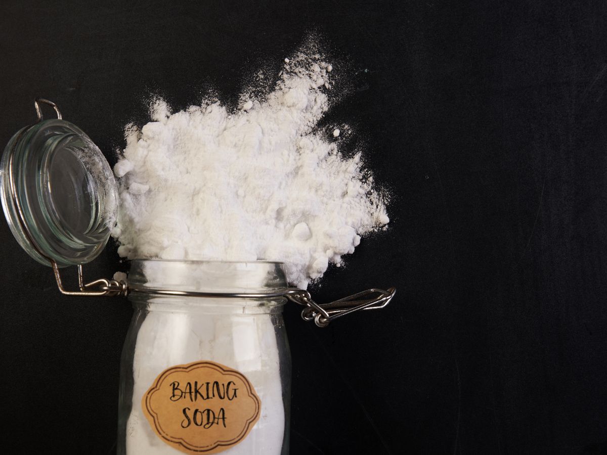 Baking Soda and Sugar Trap