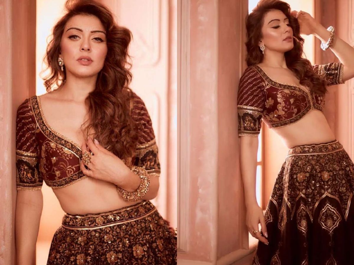 Brown Shirred and Embellished Lehenga