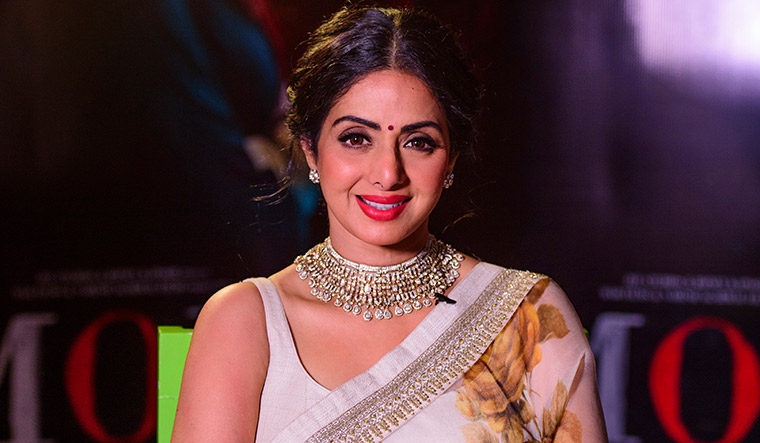 Sridevi Kapoor in a glamorous pose from one of her iconic films