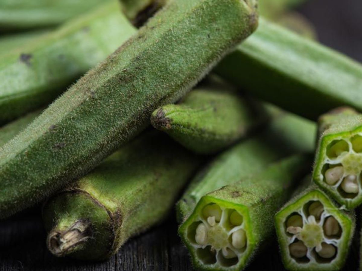 Okra- India