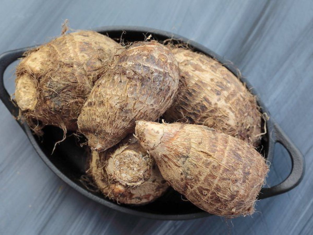 Taro roots- Southeast Asia and Africa