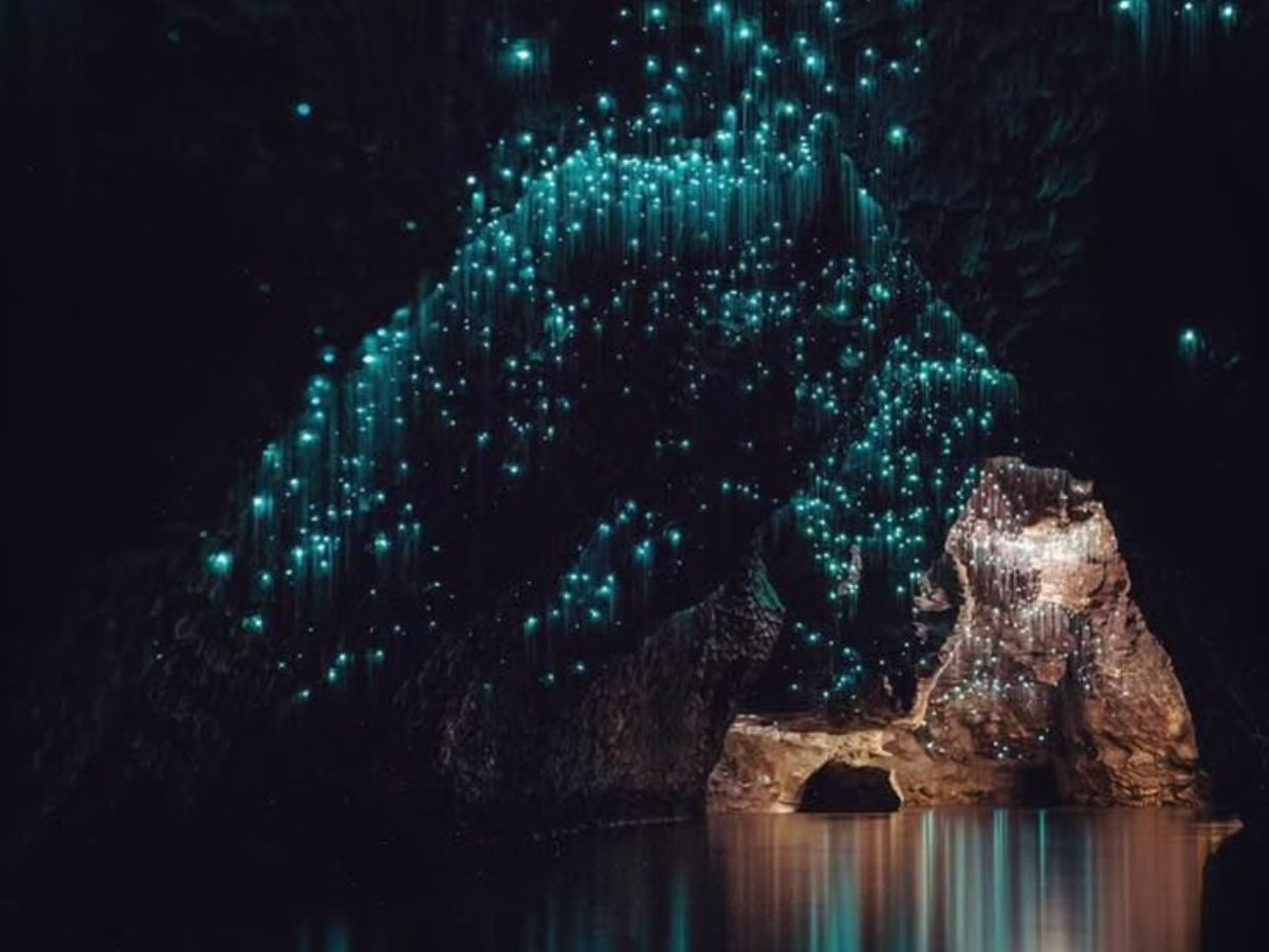 Waitomo Glowworm Caves, New Zealand