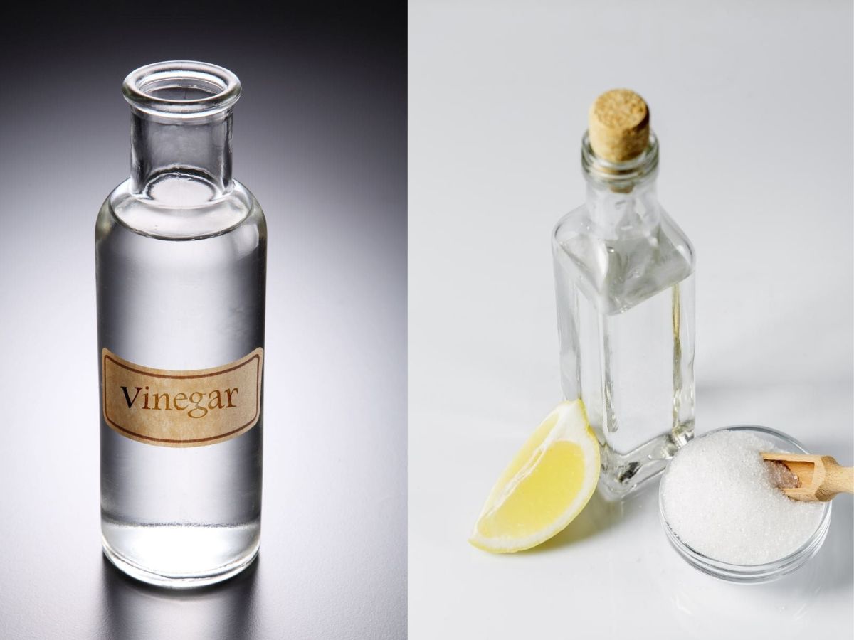White vinegar solution