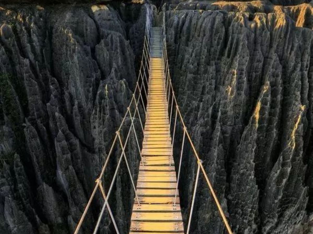 Tsingy De Bemaraha Forest, Madagascar