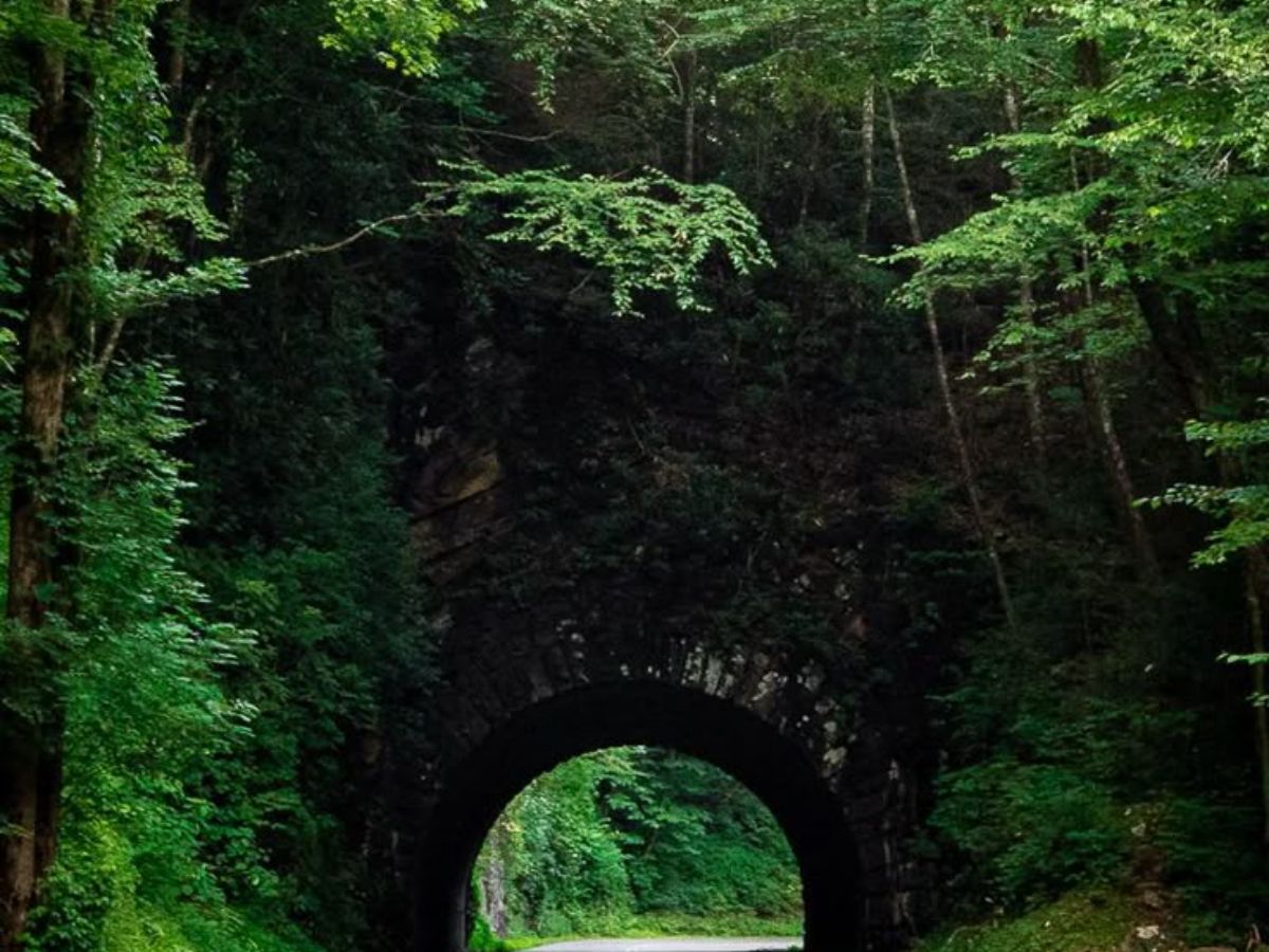 Great Smoky Mountains, USA