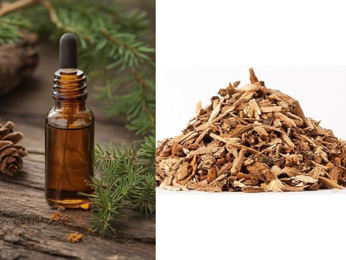 Cedarwood chips or oil