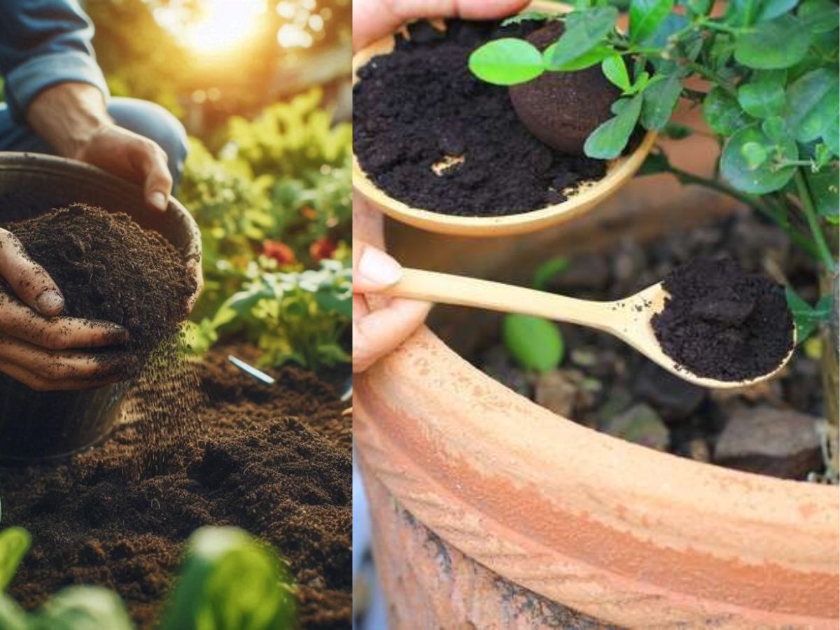 Using wrong fertilizers