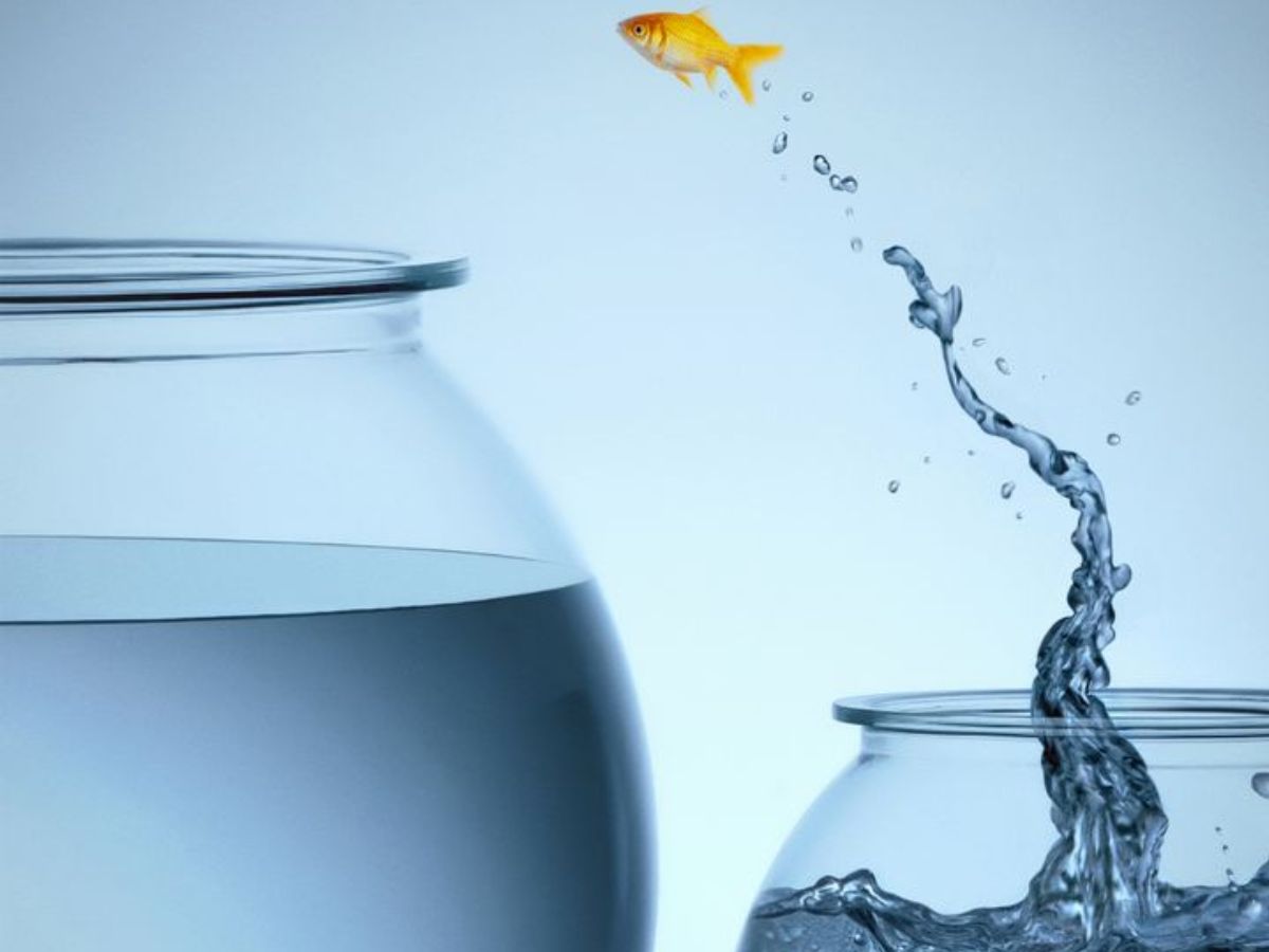 Step out of Comfort zone