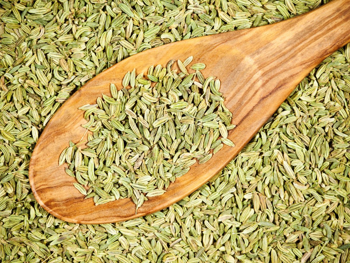 Encourages bowel regularity