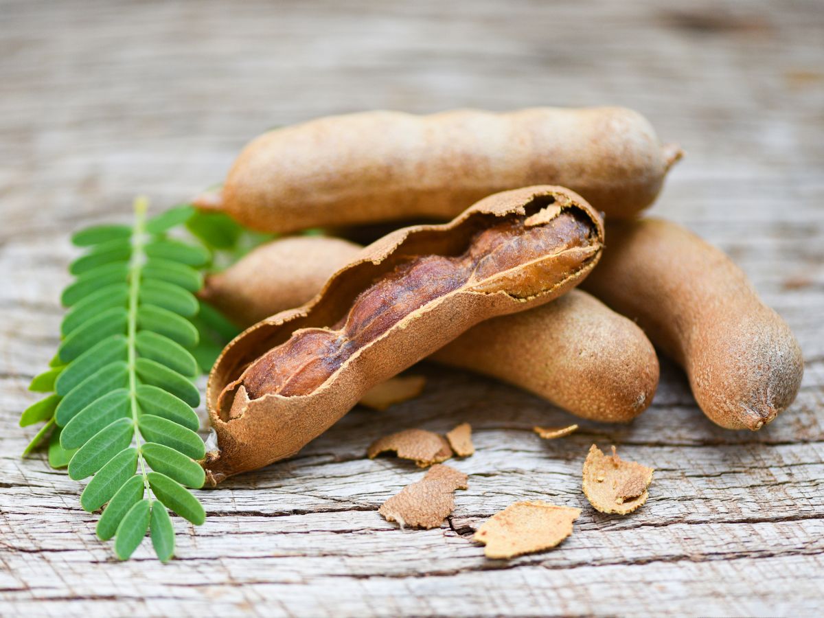 Maintains Body Weight