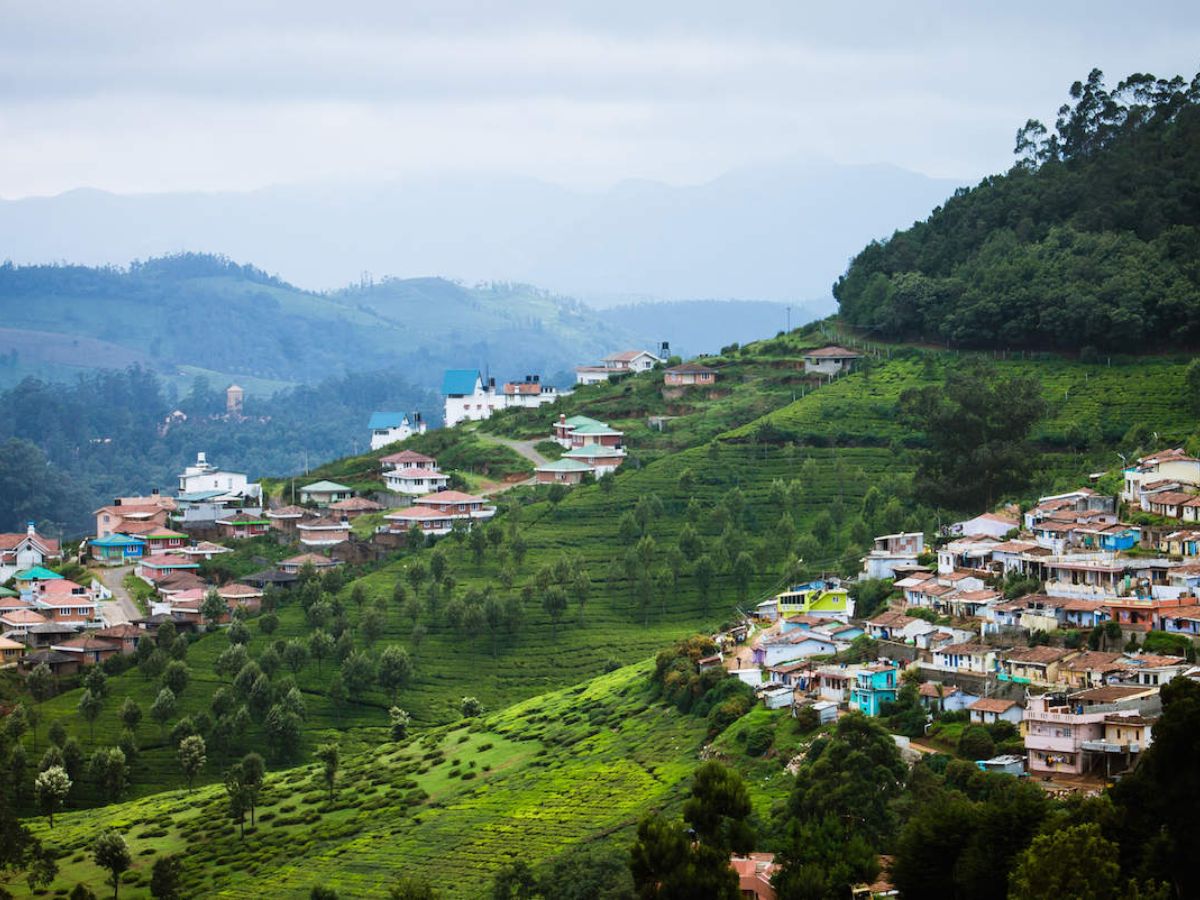 Ooty, Tamil Nadu