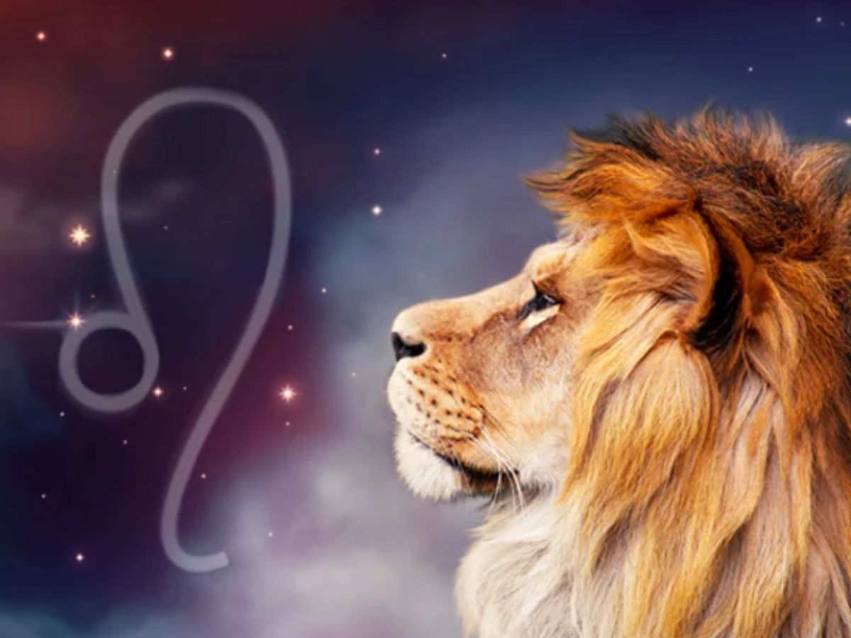 Leo- The enthusiastic adventure