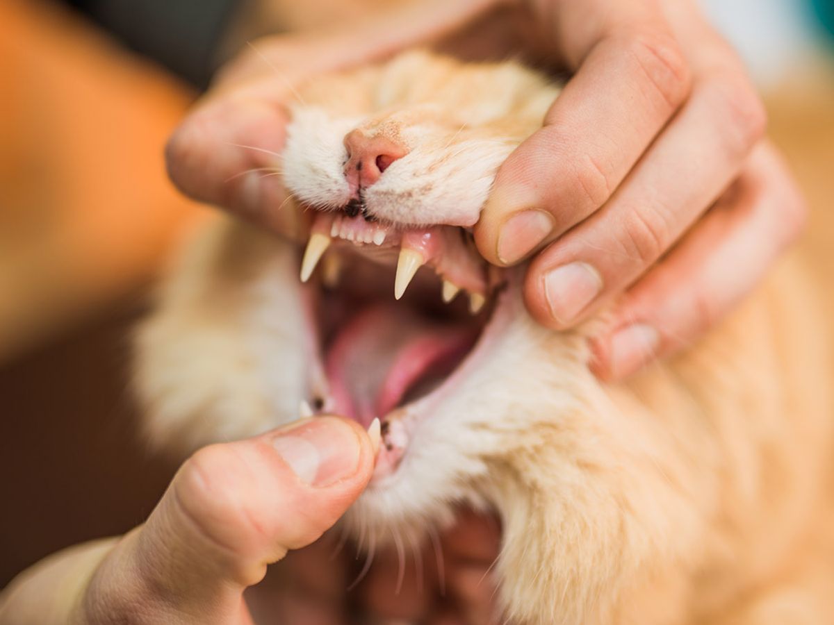 Know how to handle choking