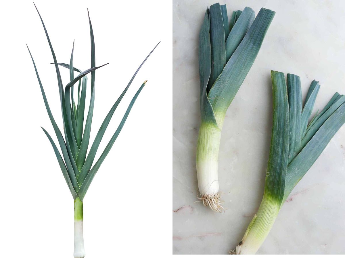 Leeks