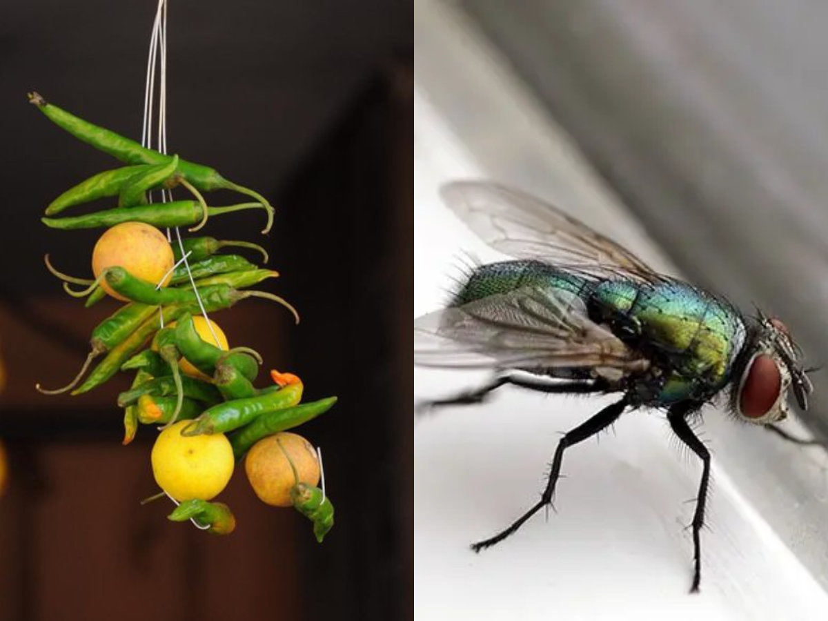 Science and Superstition