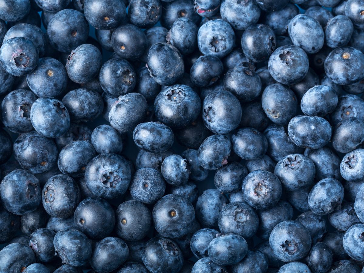 Blueberries