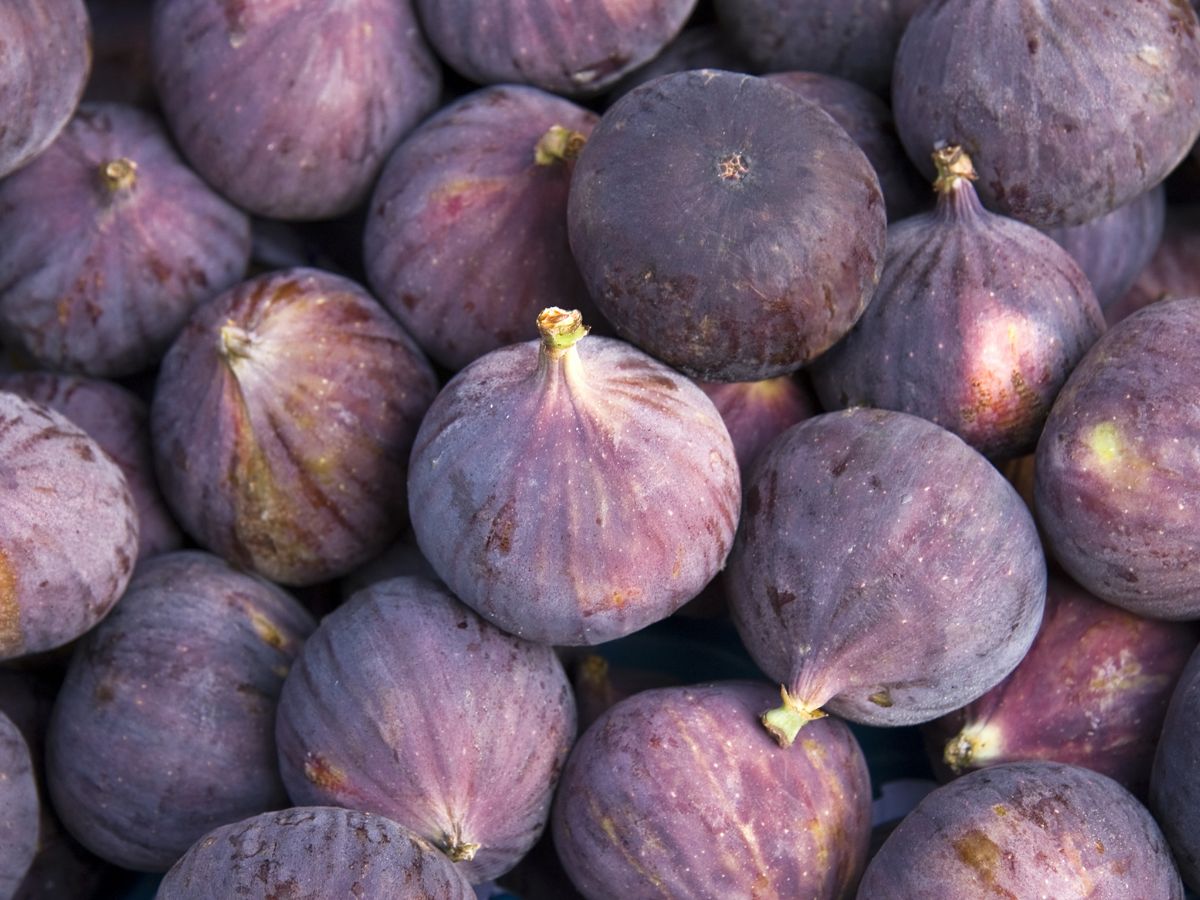 Figs