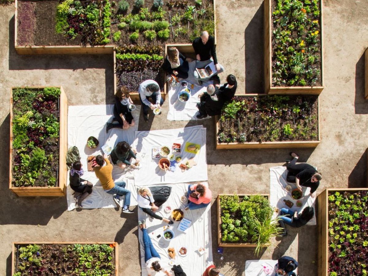 Rooftop Gardens and Urban Farms