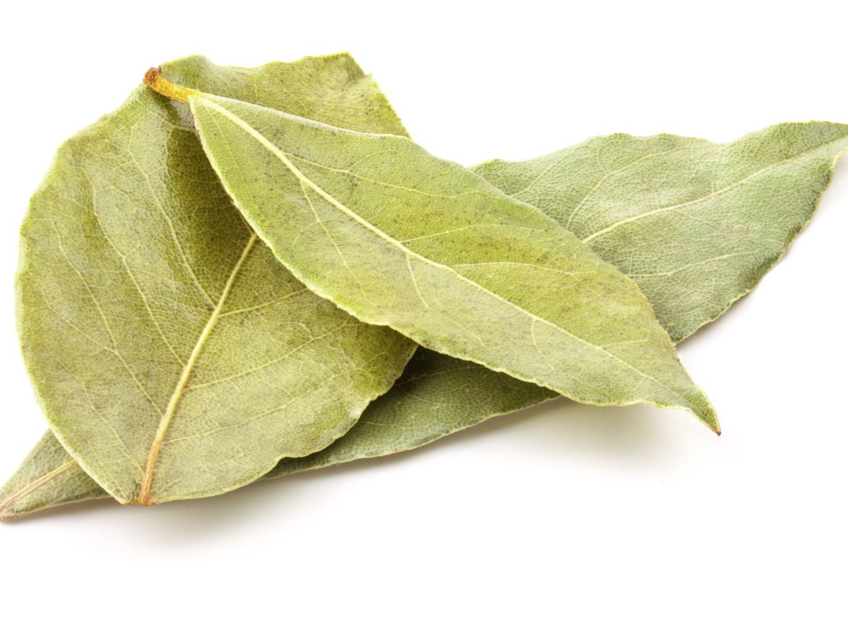Bay Leaves
