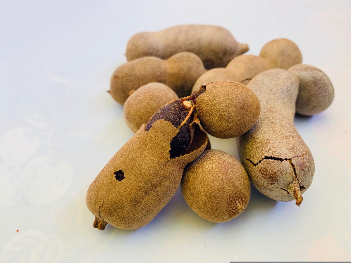 May Help Manage Diabetes