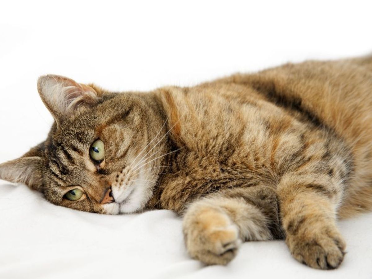 Be prepared for seizures