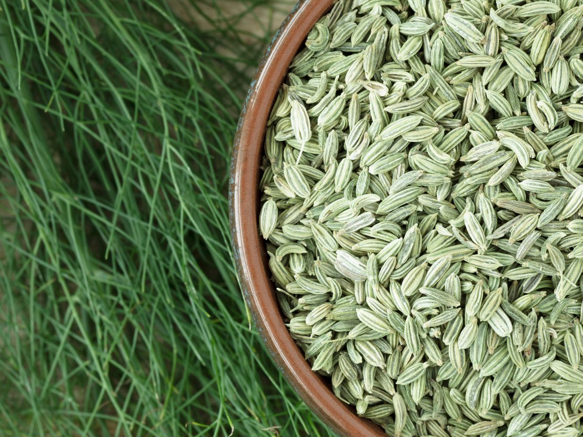 Natural mouth freshener