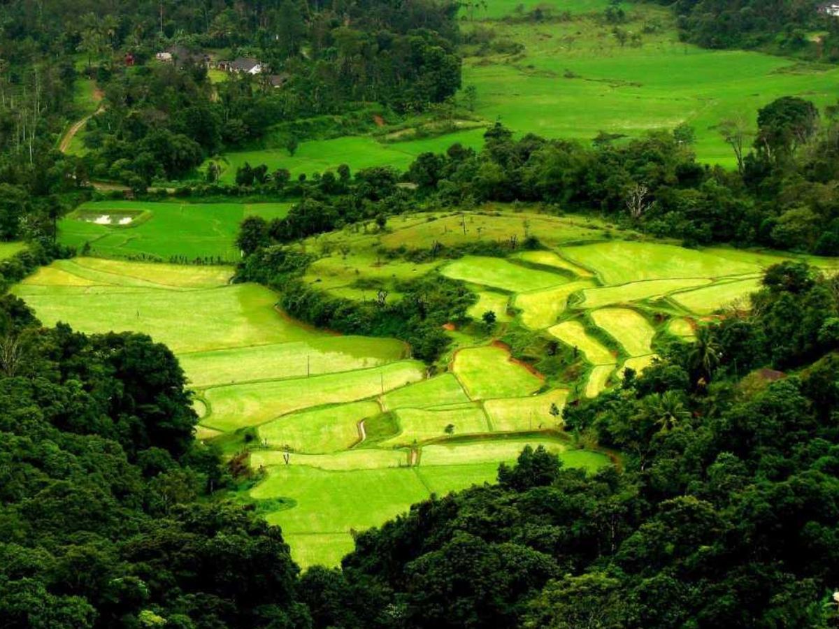 Coorg, Karnataka- India's Own Tuscany