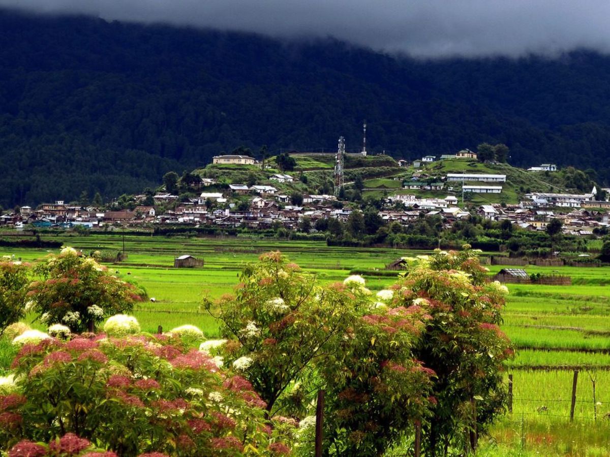 Ziro Valley, Arunachal Pradesh- European Countryside Vibes