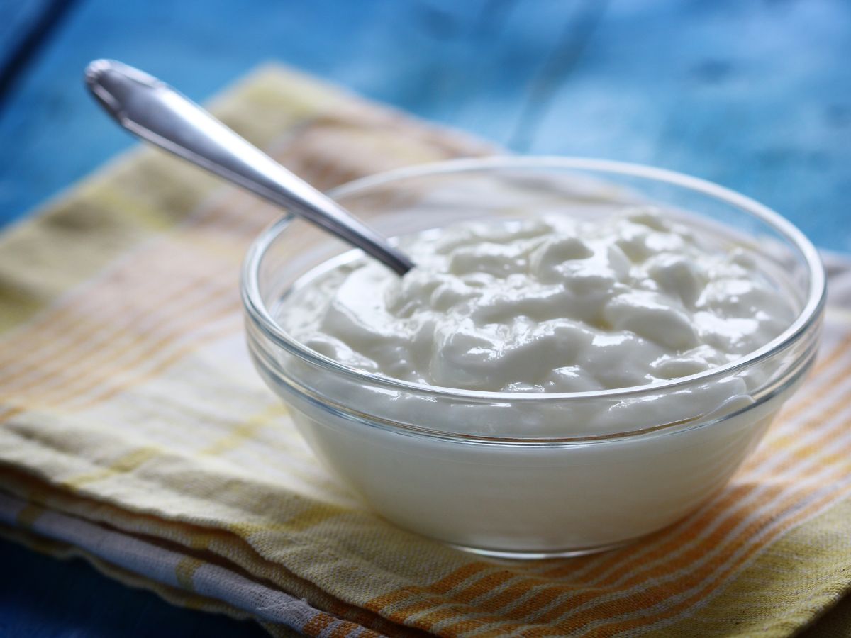 Homemade Curd