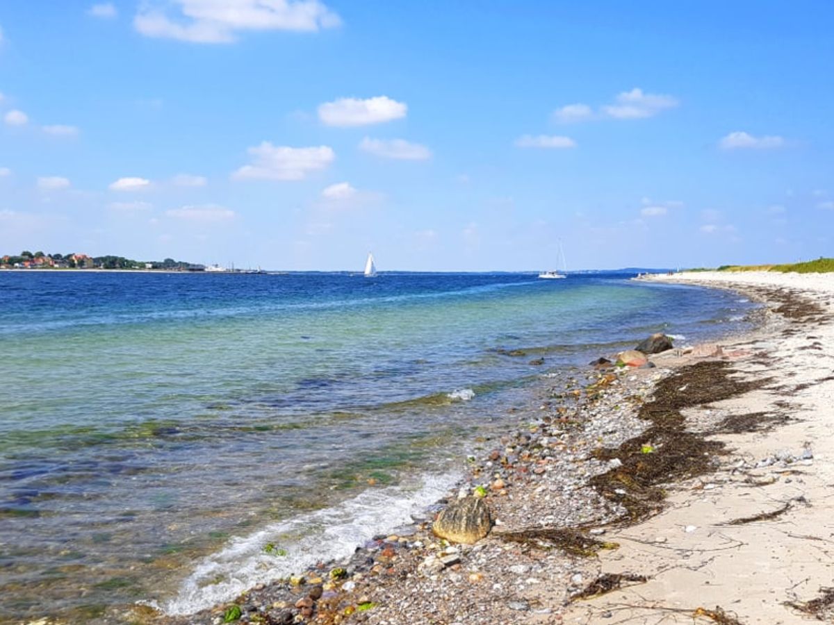 United States (19,924)