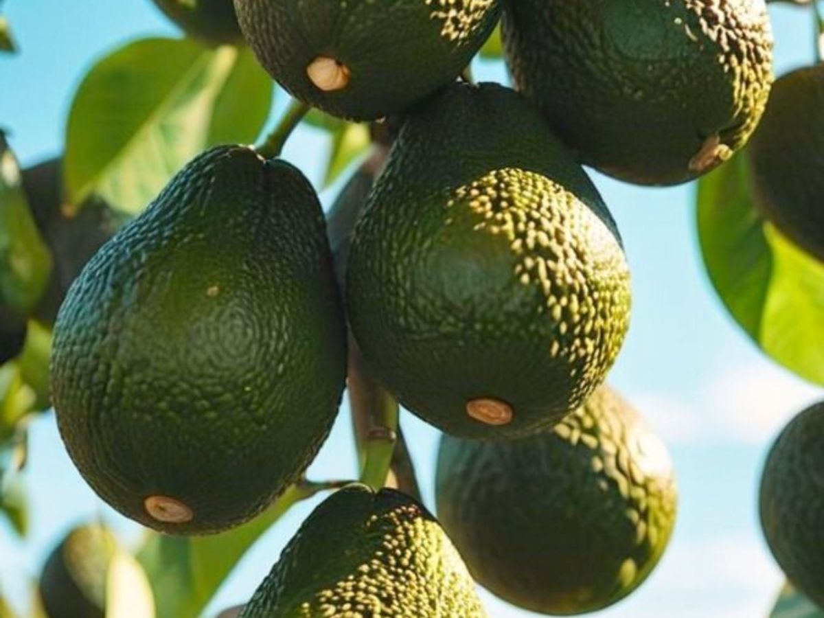 Change water regularly